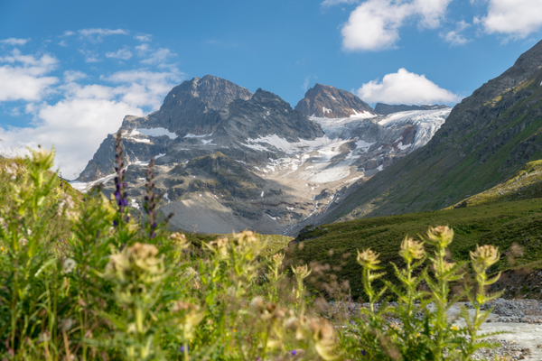 Au chevet des derniers glaciers