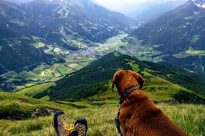 Ce que le paysage nous raconte