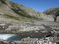 Des eaux vivantes, un atout pour la biodiversité