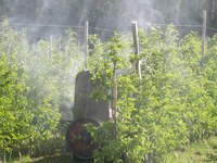 Des pesticides dans les lieux publics