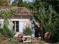 Du champ à l’assiette