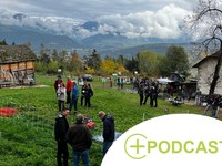 Ensemble pour la protection des troupeaux