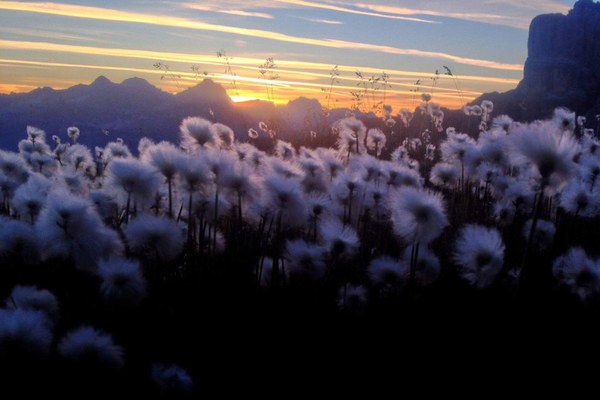 Gestion des flux touristiques dans les Alpes