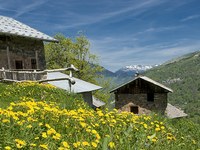 La protection de la nature au service des Hommes