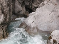 La véritable richesse des Alpes