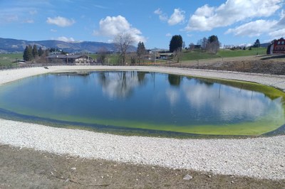 Le tourisme hivernal face à la crise climatique
