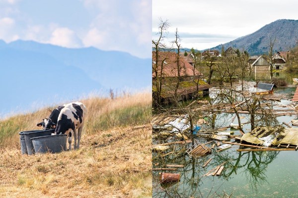Les risques climatiques : anticiper au lieu d’attendre
