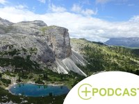 Les sols alpins : des alliés pour la protection du climat