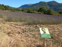 Nudging dans le tourisme alpin