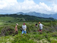 Participation citoyenne : nous gagnons du terrain