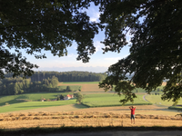 Petits feux, grands défis