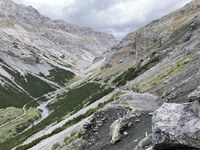 Préserver la biodiversité alpine