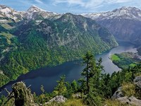 Un observatoire de la biodiversité alpine