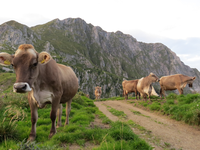 Valoriser la qualité des produits de montagne