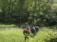 Yes We Camp, un camp d’initiation au bivouac en Allemagne pour des jeunes franco-allemands