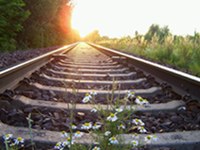 Résolution sur la nouvelle liaison ferroviaire de base Turin-Lyon pour le transport ferroviaire de marchandises entre la France et l'Italie