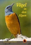 Oiseaux des Alpes