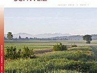 La mise en réseau des surfaces écologiques favorise les sauterelles