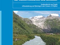 Impacts des changements climatiques sur les eaux et les ressources en eau (Résumé)