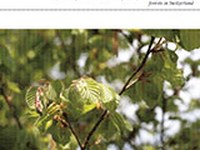 Politique forestière 2020