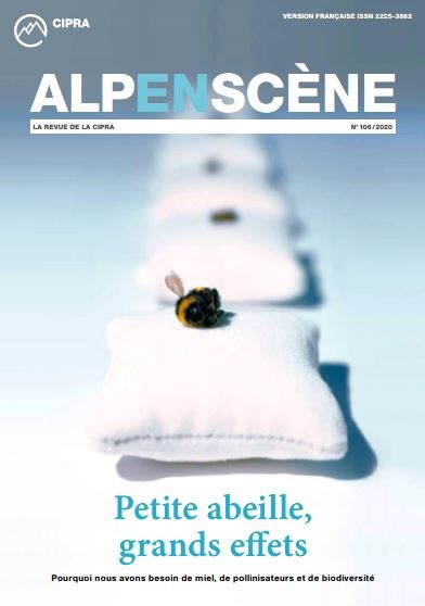 Alpenscène n° 106 - « Petite abeille, grands effets »