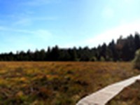 Contribution de CIPRA France au plan national de restauration de la nature