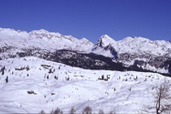 Appello delle ONG per il Parco Nazionale del Tricorno