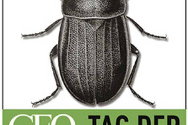 6ª Giornata della biodiversità al Brennero