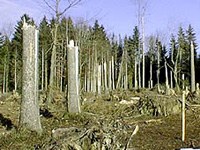 Sistema di segnalazione emergenze maltempo in Austria