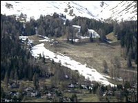 Impianti sciistici e neve artificiale minacciano la molteplicità di piante