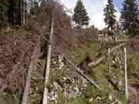 Segnalazione del pericolo di uragani, incendi boschivi e valanghe