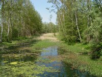 Slovenia: serie di centrali idroelettriche in progetto