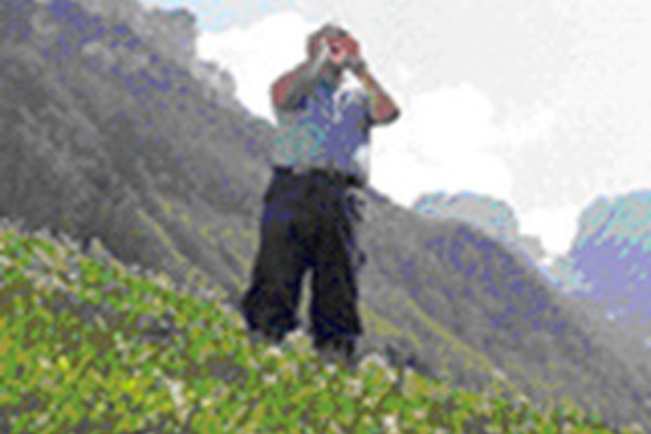 Forum per la cultura popolare contemporanea in Svizzera