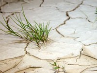 La scarsità d'acqua ha conseguenze di vasta portata