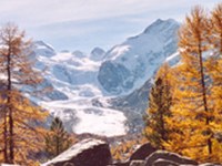 La diversità biologica paga - Le aree protette contribuiscono all'immagine delle Alpi, aiutando l'uomo e la natura