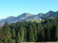 Vertice transfrontaliero dei Verdi