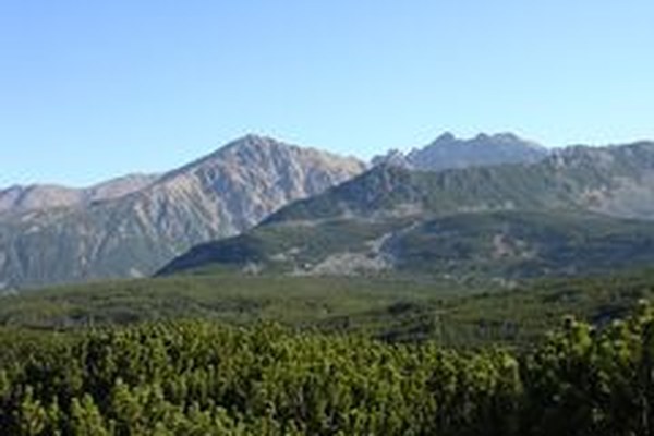 Scarsa qualità delle aree protette nell'Unione Europea