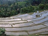 Ricerche scientifiche sulle regioni di montagna e le culture del mondo