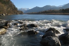 Più vita per il Reno alpino