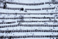 Valutazione economica dei provvedimenti di protezione dai pericoli naturali