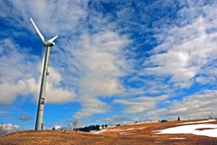 Slovenia: sfruttamento dell'energia eolica e protezione degli uccelli