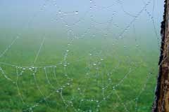 Una rete di partner per una rete di habitat