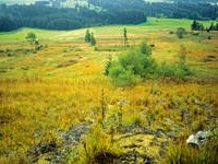 L'"Alleanza delle torbiere dell'Algovia/D" vince un importante premio per la protezione della natura