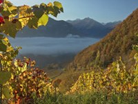 Nuovo Istituto Delinat per l'ecologia e il Klimafarming