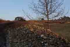 Collegamento degli spazi vitali nelle Alpi: ecco come si fa!