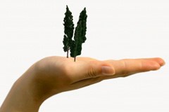 I Grigioni/CH danno il buon esempio nella protezione della natura