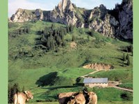 Nuovo "Libro degli alpeggi", un'indagine estesa a tutto l'arco alpino