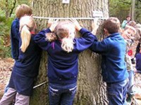 Rete di comuni: nuove strade per la protezione del clima