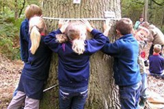 Rete di comuni: nuove strade per la protezione del clima