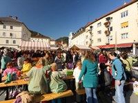 Aperto "l'Anno della Città alpina"